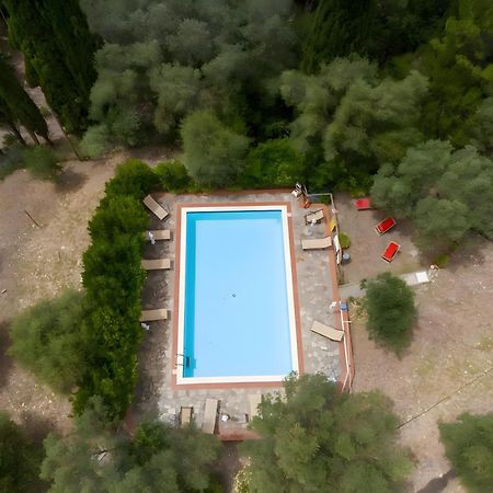Villa I Tigli Campiglia Marittima Exterior foto