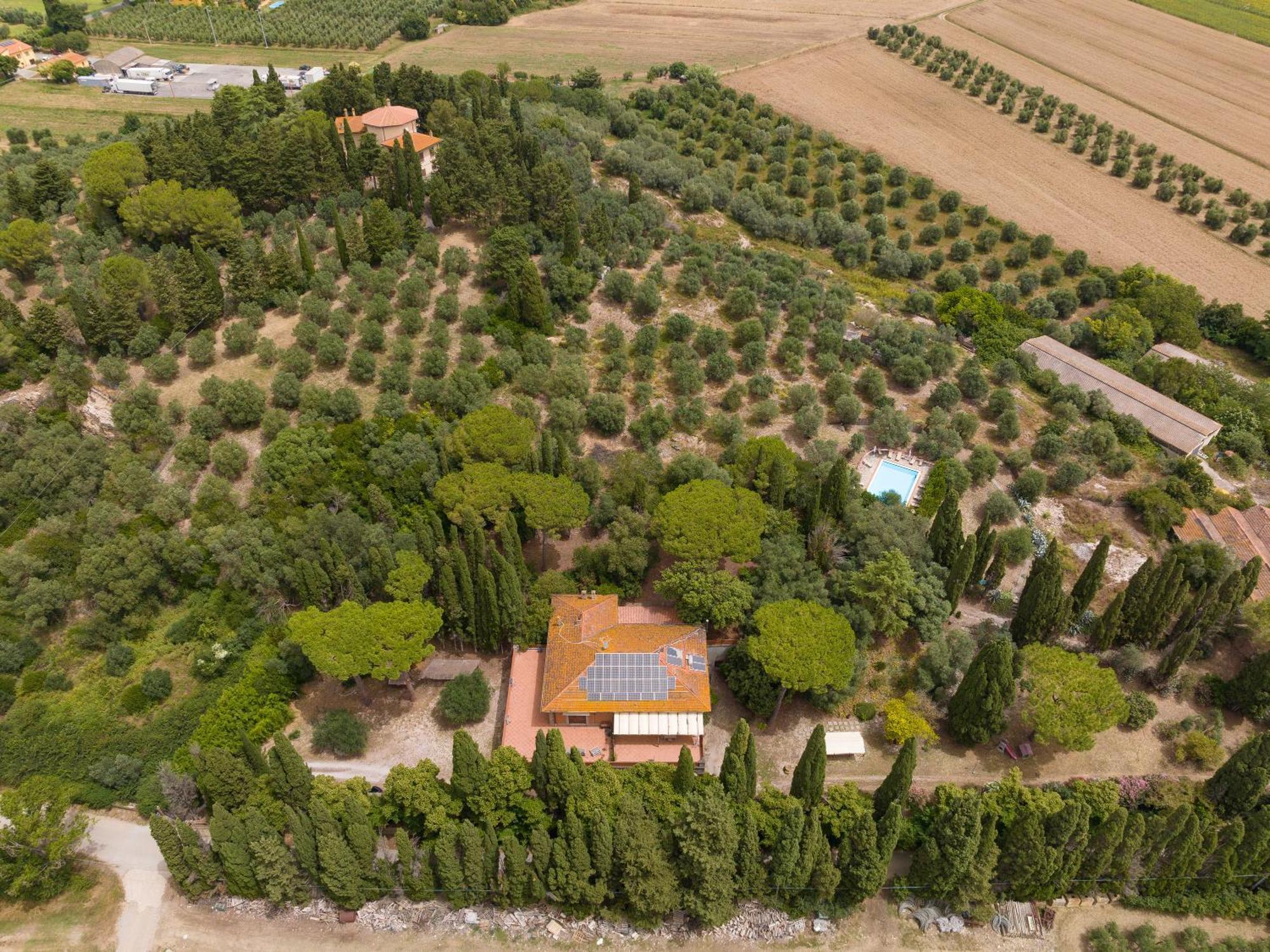 Villa I Tigli Campiglia Marittima Exterior foto